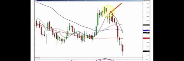 Steve bigalow forex